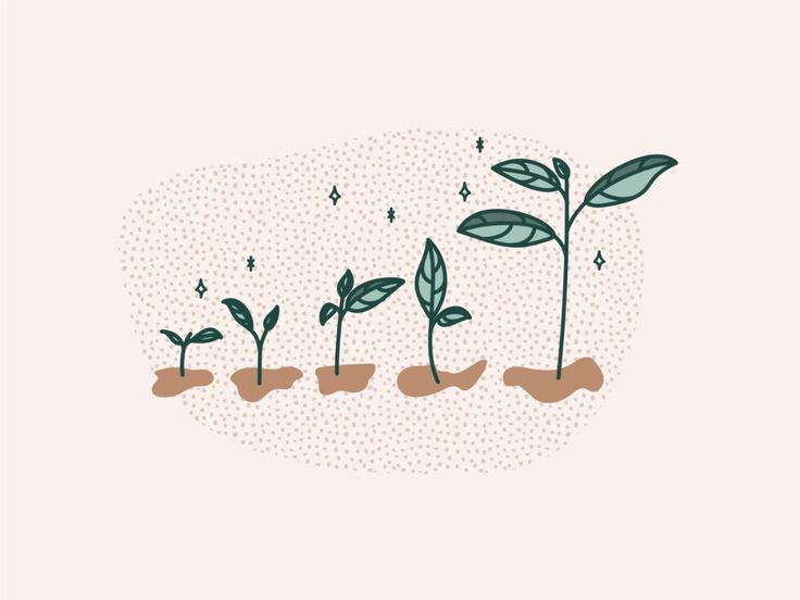 What Should I Do When Growth Feels Stagnant?